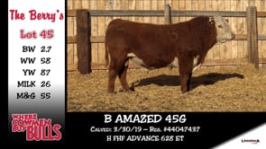 Lot #45 - B AMAZED 45G