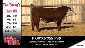Lot #29 - B OUTCROSS 29G