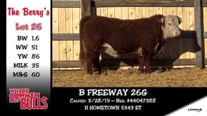 Lot #26 - B FREEWAY 26G