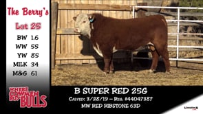 Lot #25 - B SUPER RED 25G