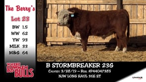 Lot #23 - B STORMBREAKER 23G