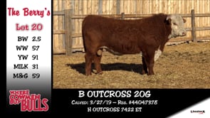 Lot #20 - B OUTCROSS 20G