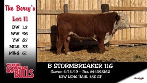 Lot #11 - B STORMBREAKER 11G