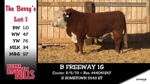 Lot #1 - B FREEWAY 1G