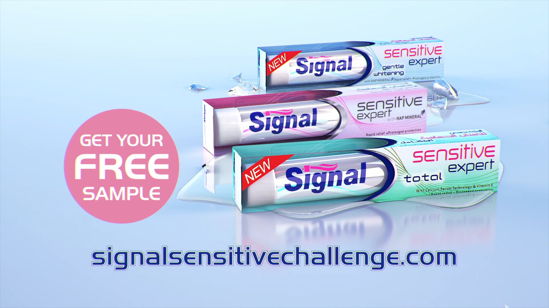 Signal Challenge