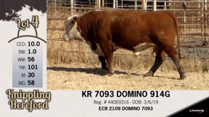 Lot #4 - KR 7093 DOMINO 914G