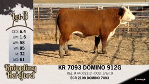 Lot #3 - KR 7093 DOMINO 912G