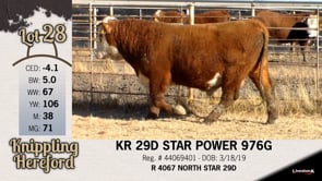 Lot #28 - KR 29D STAR POWER 976G