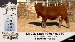 Lot #58 - KR 29D STAR POWER 9178G