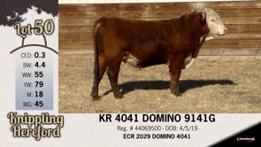 Lot #50 - KR 4041 DOMINO 9141G