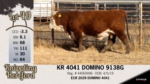 Lot #49 - KR 4041 DOMINO 9138G