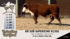 Lot #47 - KR 50B SUPERSTAR 9135G