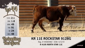 Lot #44 - KR 11E ROCKSTAR 9128G