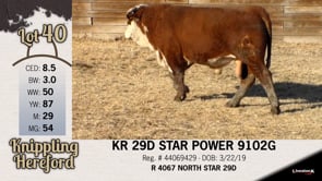 Lot #40 - KR 29D STAR POWER 9102G