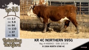 Lot #38 - KR 4C NORTHERN 995G