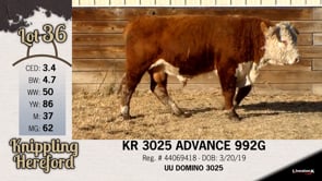 Lot #36 - KR 3025 ADVANCE 992G