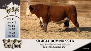 Lot #35 - KR 4041 DOMINO 991G