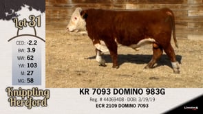 Lot #31 - KR 7093 DOMINO 983G