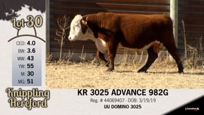 Lot #30 - KR 3025 ADVANCE 982G