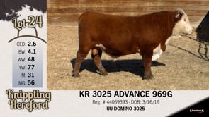 Lot #24 - KR 3025 ADVANCE 969G