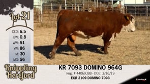 Lot #21 - KR 7093 DOMINO 964G