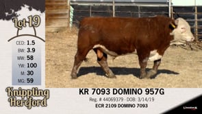 Lot #19 - KR 7093 DOMINO 957G