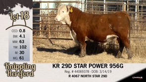 Lot #18 - KR 29D STAR POWER 956G