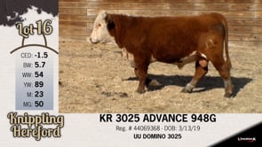 Lot #16 - KR 3025 ADVANCE 948G