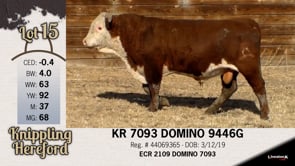 Lot #15 - KR 7093 DOMINO 9446G