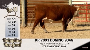 Lot #11 - KR 7093 DOMINO 934G