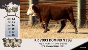 Lot #10 - KR 7093 DOMINO 933G