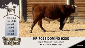 Lot #7 - KR 7093 DOMINO 920G