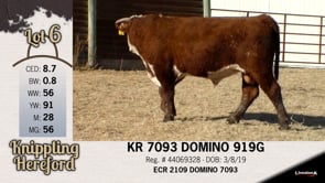 Lot #6 - KR 7093 DOMINO 919G