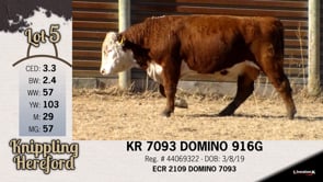 Lot #5 - KR 7093 DOMINO 916G