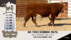 Lot #2 - KR 7093 DOMINO 907G