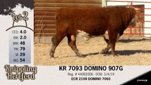 Lot #2 - KR 7093 DOMINO 907G