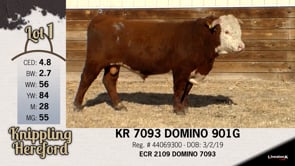 Lot #1 - KR 7093 DOMINO 901G