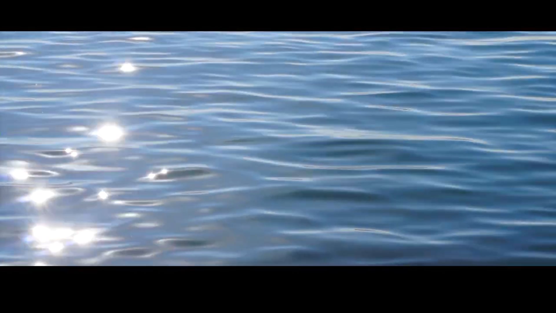 פרק הבכורה של חיות או להיות- עולם המים