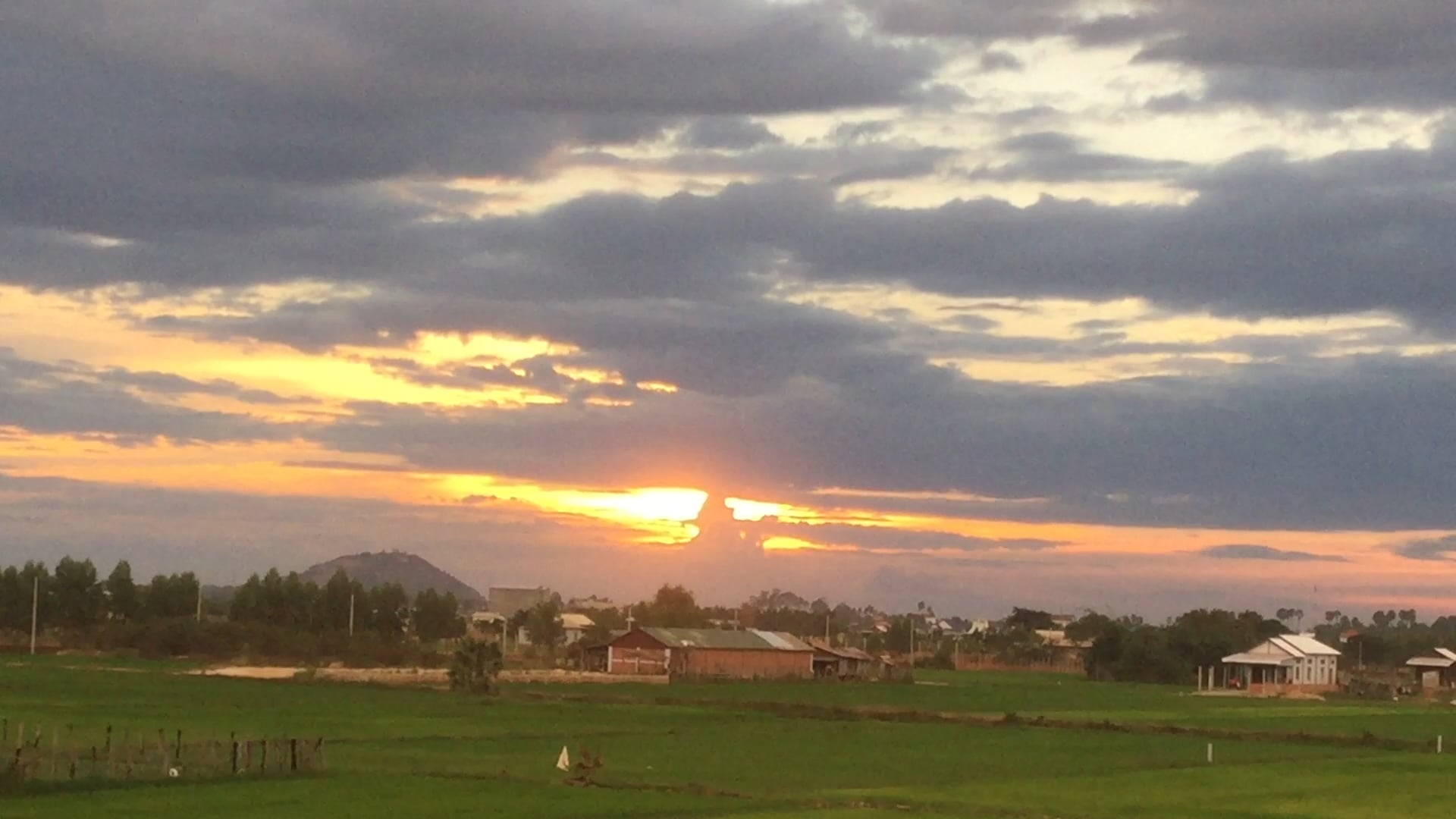 birds in neighbourhood sacred tree and Buddhist Funeral rites heard December 2020
