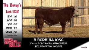 Lot #108 - B REDBULL 108G