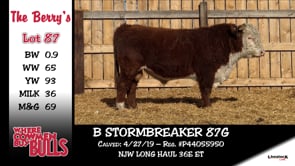 Lot #87 - B STORMBREAKER 87G