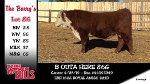 Lot #86 - B OUTA HERE 86G