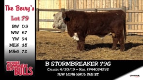 Lot #79 - B STORMBREAKER 79G