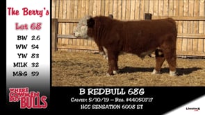 Lot #68 - B REDBULL 68G