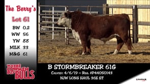 Lot #61 - B STORMBREAKER 61G