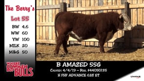 Lot #55 - B AMAZED 55G