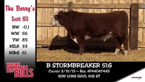 Lot #51 - B STORMBREAKER 51G