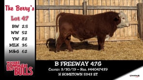 Lot #47 - B FREEWAY 47G