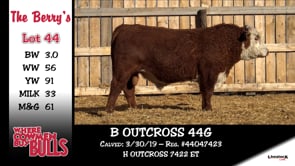 Lot #44 - B OUTCROSS 44G