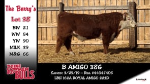Lot #38 - B AMIGO 38G